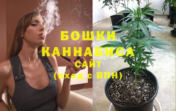 дживик Надым