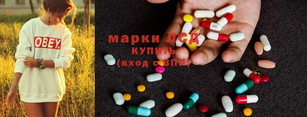 дживик Надым