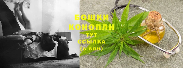 дживик Надым