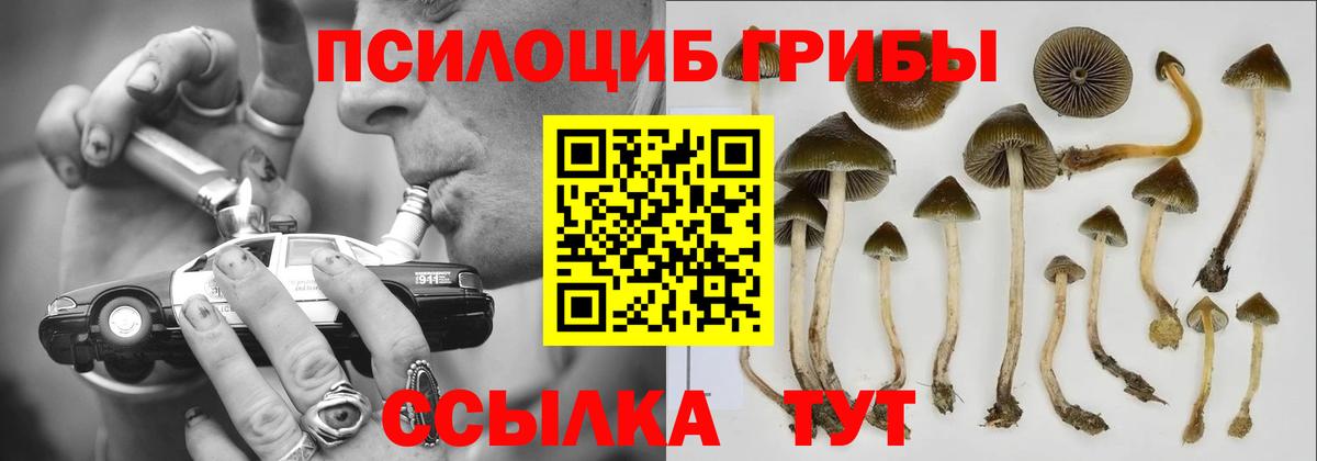 Саров  магазин    Вход с VPN  Галлюциногенные грибы ЛСД  Псилоцибиновые грибы мицелий 