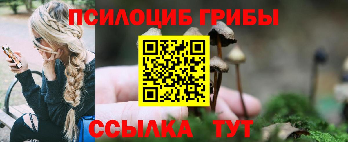 Галлюциногенные грибы Psilocybine cubensis  Саров 
