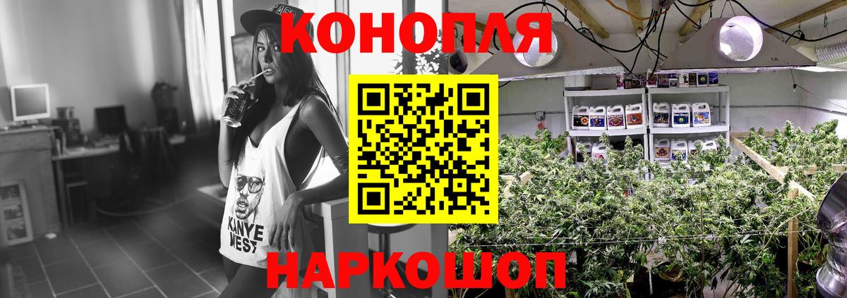 Шишки марихуана AK-47  Саров  Каннабис Amnesia  Марихуана Bruce Banner 